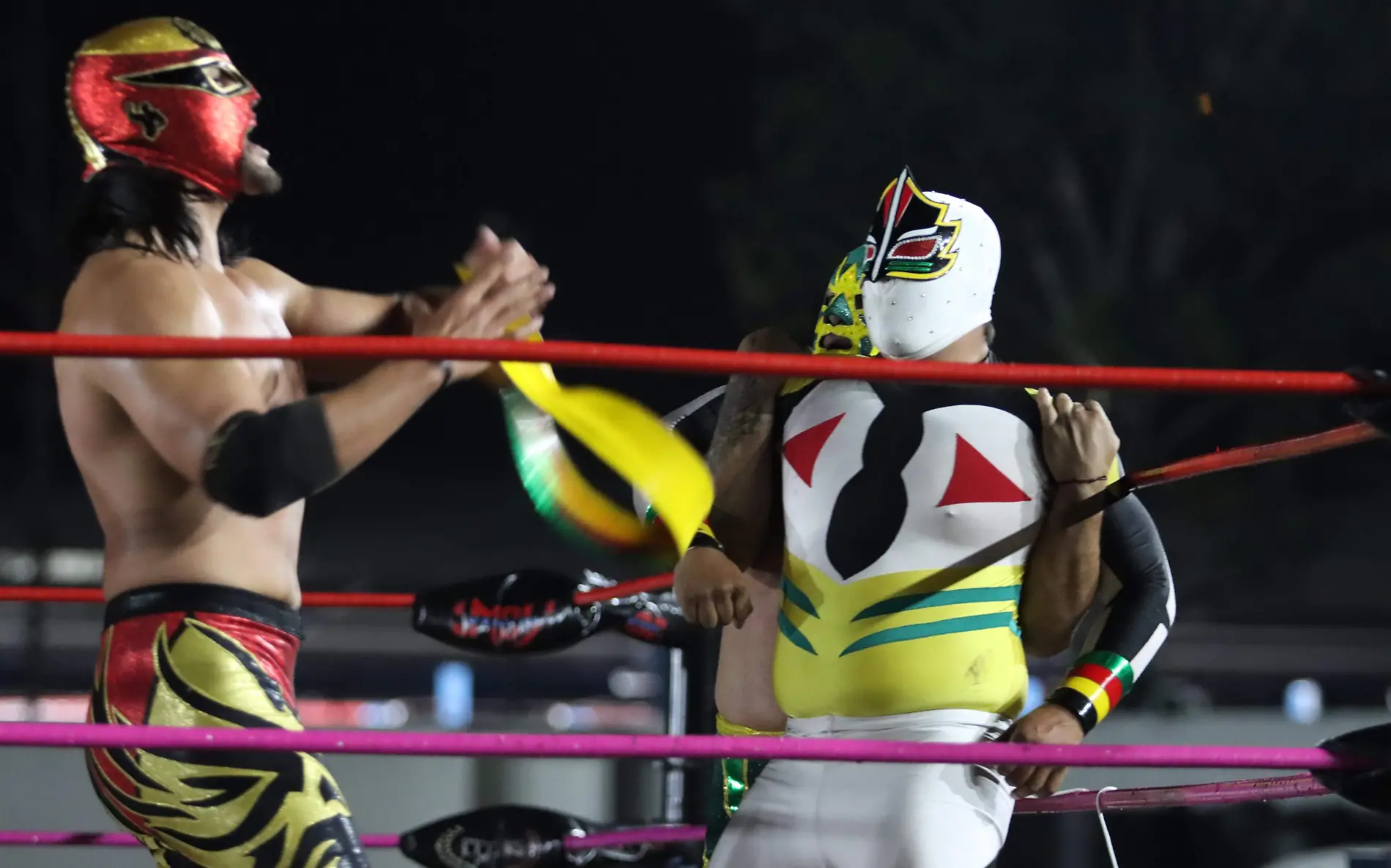 lucha libre (14)